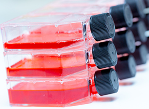 Cell Culture Equipment & Supplies